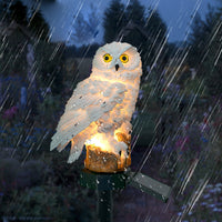 Lampe Solaire Extérieure en Forme de Hibou – Owlenza