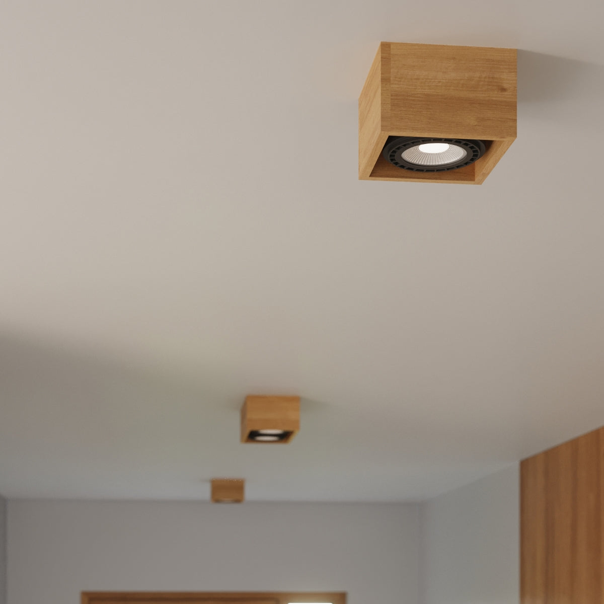 Ceiling Light Model Nordeyn | Luxarmonie