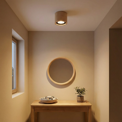 Norvial Model Ceiling Light Detail View | Luxarmonie