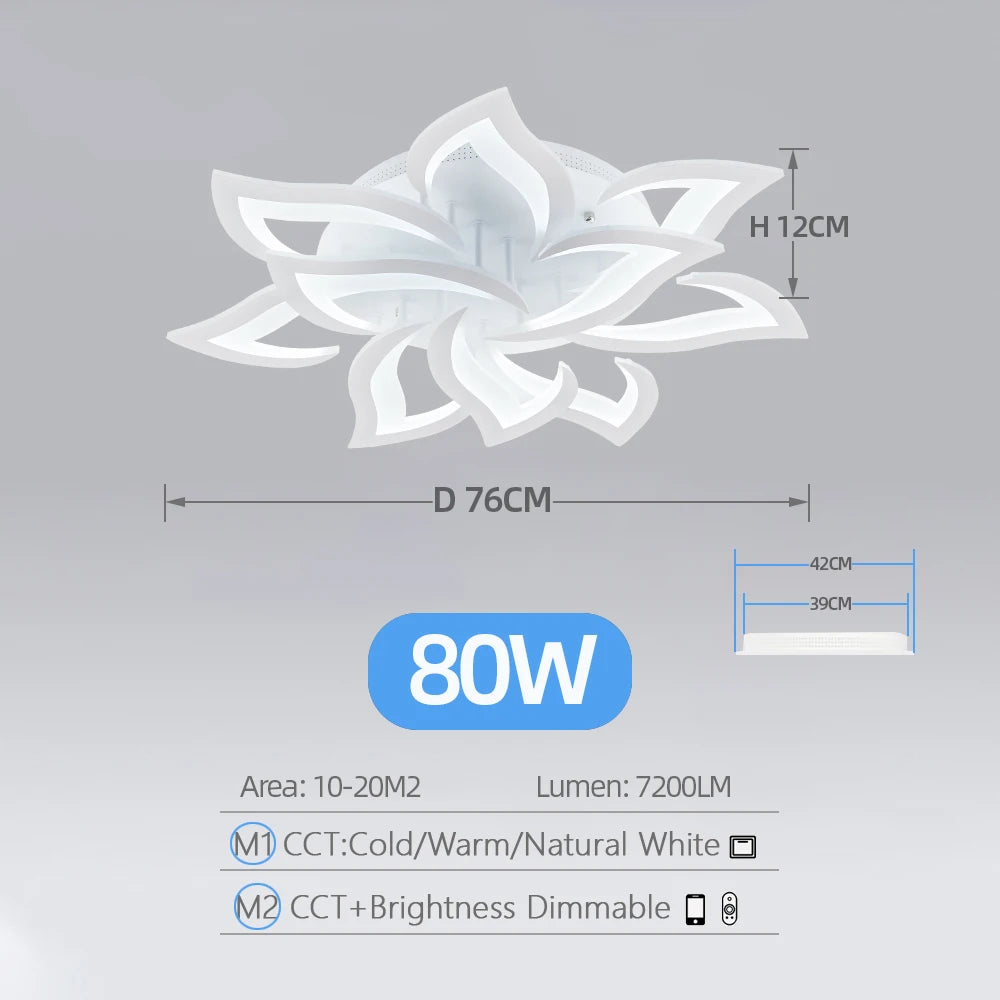 Plafonnier Acrylique Moderne Dimmable pour Salon/Chambre – Caeleste