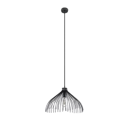 Industriële zwarte stalen hanglamp – Atheris